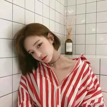 虫图腾