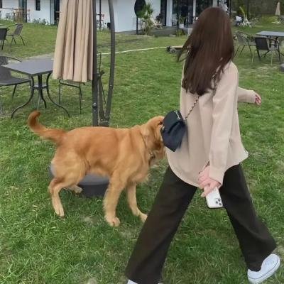 红木林