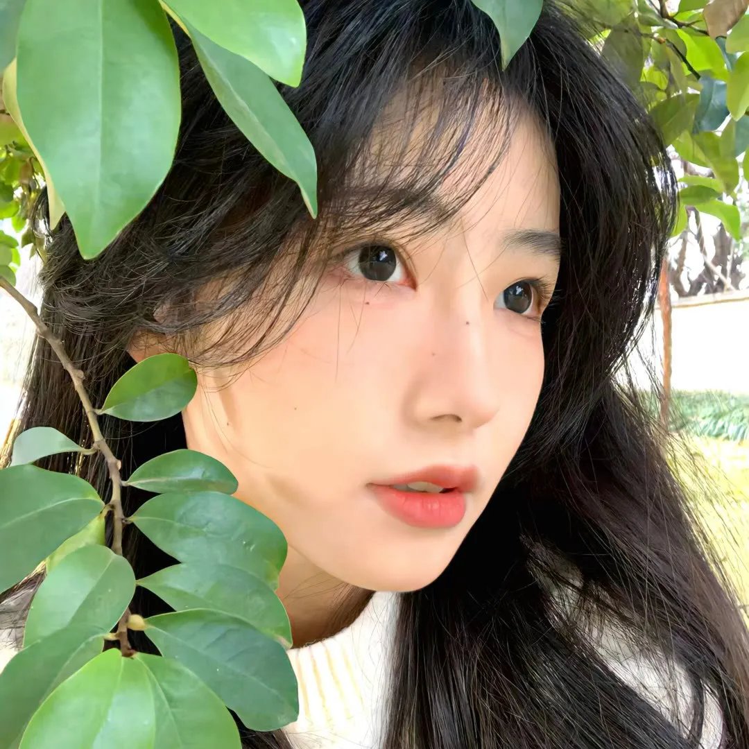 倍儿喜欢你